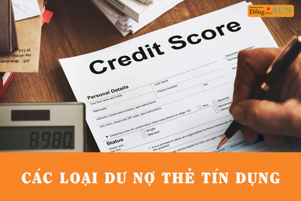 Các loại dư nợ thẻ tín dụng