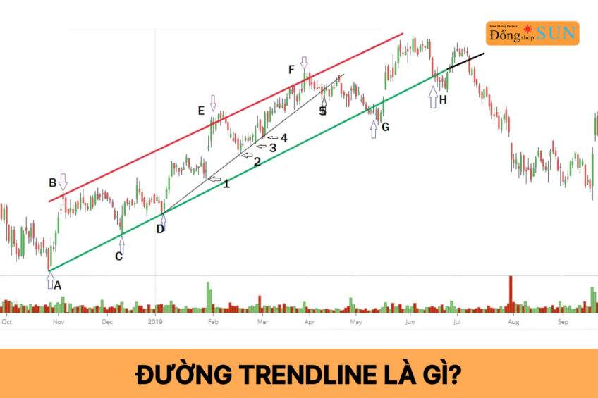Trendline Progress Trendline là gì? Cách vẽ đường xu hướng trong chứng khoán