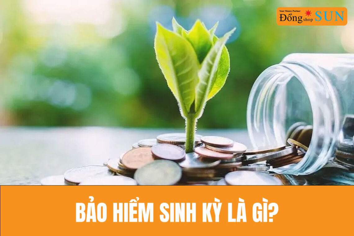 Bảo hiểm sinh kỳ là gì?