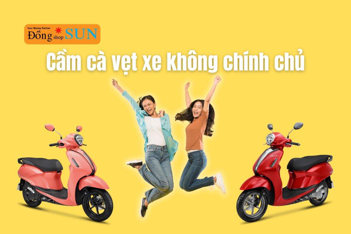 Cầm cà vẹt xe không chính chủ có được không?