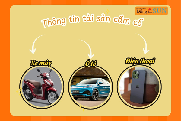 Thông tin tài sản cầm cố 