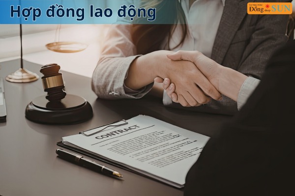 Dùng hợp đồng lao động chứng minh thu nhập 