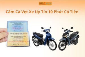 Cầm cà vẹt xe mà vẫn giữ xe đi làm