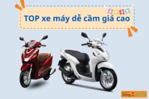 top 5 loại xe máy dễ cầm giá cao và có tỷ lệ duyệt hồ sơ nhanh nhất