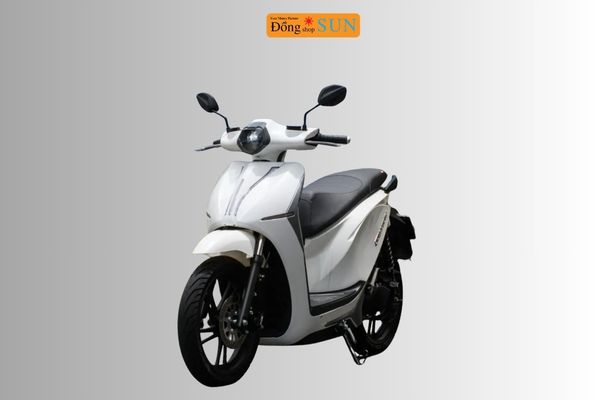Xe điện Dat Bike