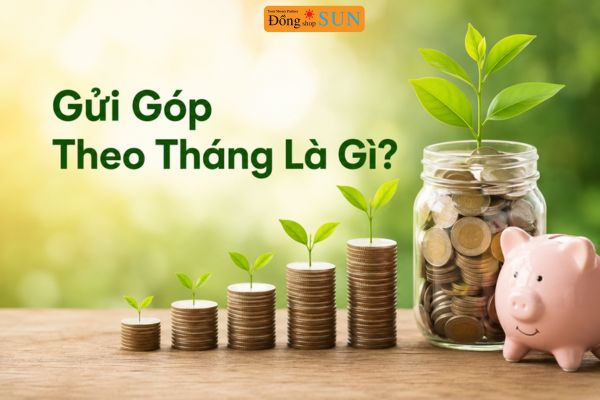 Gửi góp theo tháng