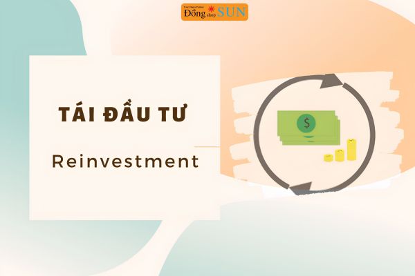 Tái đầu tư