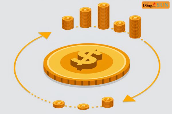 Các hình thức tái đầu tư