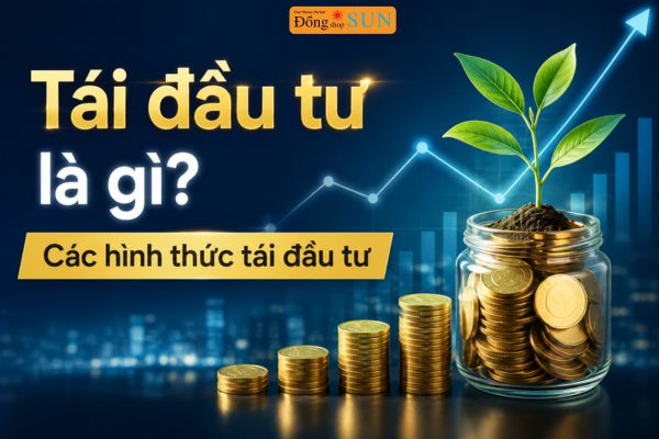 Tái đầu tư là gì?