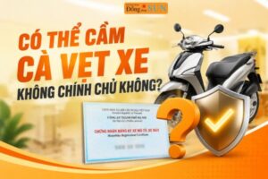 Có thể cầm cà vẹt xe không chính chủ được không ?