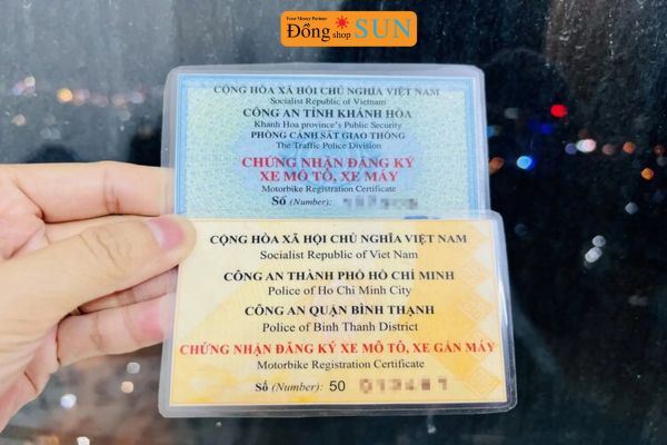 Cầm cà vẹt có giữ xe không?