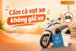 Cầm cà vẹt xe không giữ xe là gì?
