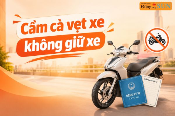 Cầm cà vẹt xe không giữ xe là gì?
