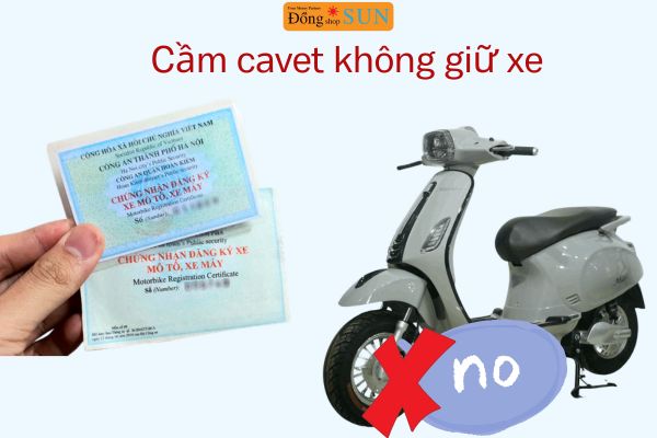 Cầm cà vẹt không giữ xe là gì?